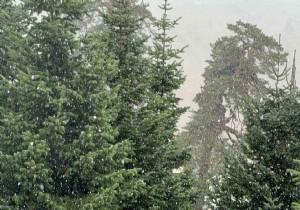 Bolu ya mevsimin ilk kar� d��t� 