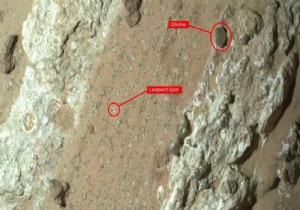 Mars ta en net ya�am belirtisi 